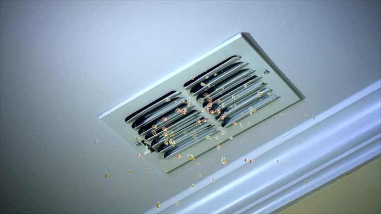 Best Home Air Vent Cleaning  in Coldwater, OH